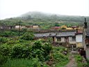 DSC00251.jpg