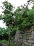 DSC00258.jpg