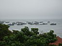 DSC00275.jpg