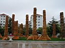 DSC00297.jpg