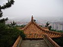 DSC00403.jpg