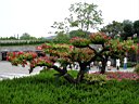 DSC00441.jpg