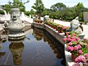 DSC00558.jpg