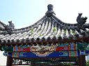 DSC00609.jpg
