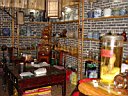 DSC00741.jpg