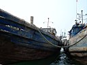 DSC00806.jpg