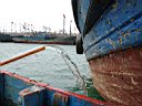 DSC00807.jpg
