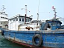 DSC00808.jpg