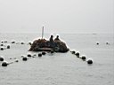 DSC00868.jpg