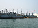 DSC00884.jpg