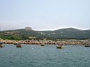 DSC00886.jpg