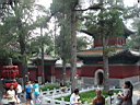 DSC06681.jpg