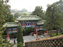 DSC06690.jpg