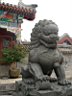 DSC06710.jpg