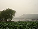 DSC06820.jpg