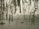 DSC06826.jpg