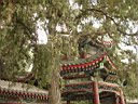 DSC06842.jpg