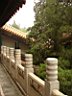 DSC06858.jpg
