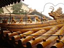 DSC06870.jpg
