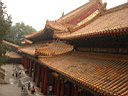 DSC06873.jpg