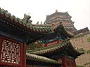 DSC06879.jpg