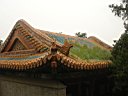 DSC06916.jpg