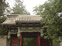 DSC06919.jpg