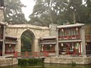 DSC06951.jpg