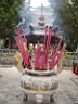 DSC07135.jpg