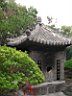 DSC07203.jpg