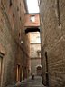 DSCF0448.jpg