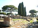 DSCF0766.jpg