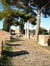 DSCF0791.jpg