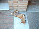 DSCF1038.jpg