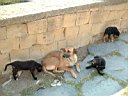 DSCF1148.jpg