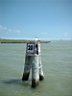 DSCF1552.jpg