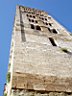 DSC02146r.jpg