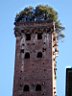 DSC02152x.jpg