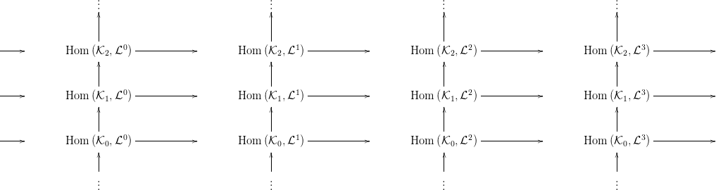                    ..                                 ..                                ..                                 ..
                   .                                 .                                .                                 .
                   |                                 |                                |                                 |
                   |                                 |                                |                                 |
-----                   0 -------------                   1 -------------                  2  -------------                  3 -------------
             Hom  (K2,L  )                    Hom  (K2, L )                     Hom  (K2,L  )                    Hom  (K2, L )
                   |                                 |                                |                                 |
                   |                                 |                                |                                 |
-----                   0 -------------                   1 -------------                  2  -------------                  3 -------------
             Hom  (K1,L  )                    Hom  (K1, L )                     Hom  (K1,L  )                    Hom  (K1, L )
                   |                                 |                                |                                 |
                   |                                 |                                |                                 |
-----        Hom  (K0,L0 )-------------       Hom  (K0, L1) -------------       Hom  (K0,L2 ) -------------      Hom  (K0, L3) -------------
                   |                                 |                                |                                 |
                   |                                 |                                |                                 |

                   ...                                 ...                                ...                                 ...