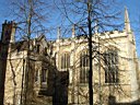 DSC01309.jpg