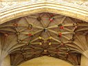 DSC01318.jpg
