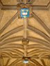 DSC02726x.jpg