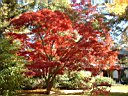 DSCF0033.jpg