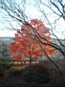 DSCF0047.jpg