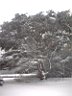 DSCF0060.jpg