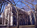 P3143096r.jpg