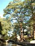 DSCF0532.jpg