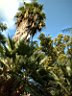 DSCF0571.jpg