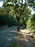 DSCF0347.JPG