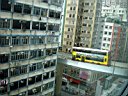 DSC12817r.jpg
